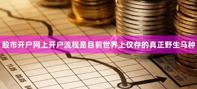 股市开户网上开户流程是目前世界上仅存的真正野生马种