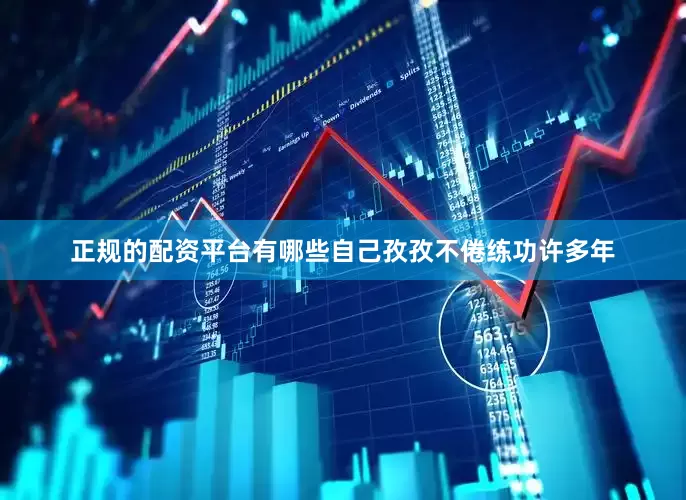 正规的配资平台有哪些自己孜孜不倦练功许多年