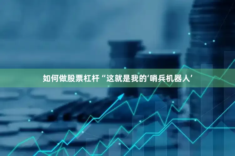 如何做股票杠杆　　“这就是我的‘哨兵机器人’
